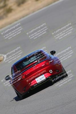 media/Nov-19-2023-Extreme Speed (Sun) [[bd0eec5490]]/Silver/Wall Paper Photos/